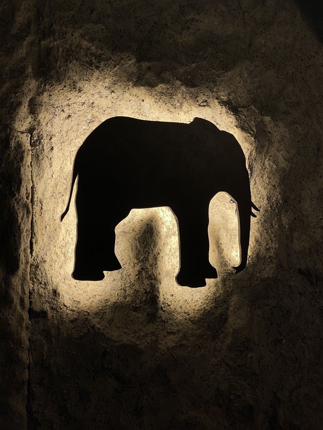 따뜻한 빛으로 비춰지는 The Elephant 코끼리 심볼